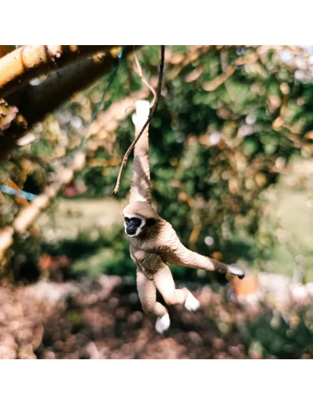 Gibbon à mains blanches - Figurine ToyMany