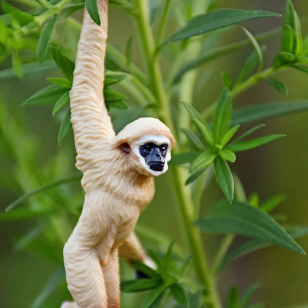 Gibbon à mains blanches - Figurine ToyMany