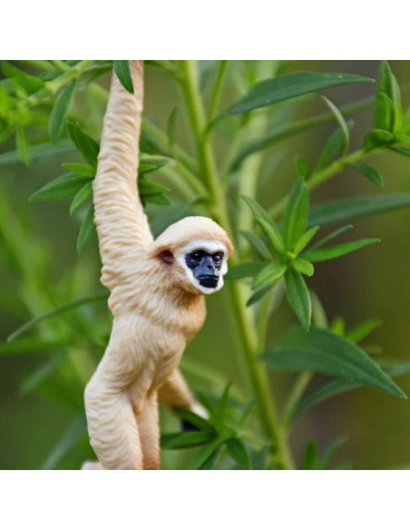Gibbon à mains blanches - Figurine ToyMany
