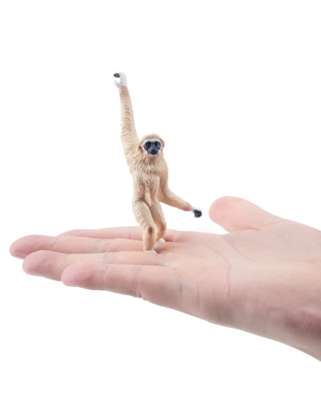 Gibbon à mains blanches - Figurine ToyMany
