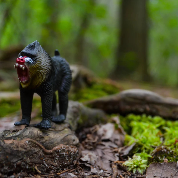 Mandrill - Figurine ToyMany
