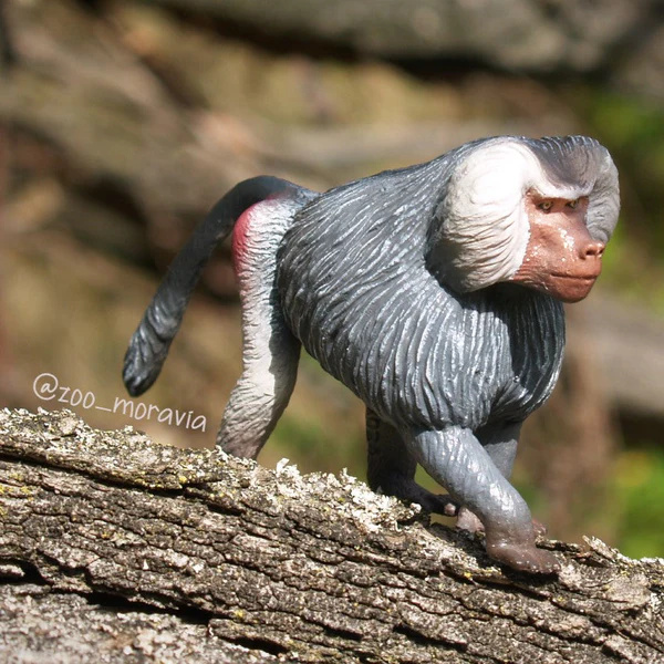 Babouin hamadryas Toymany – Figurine singe