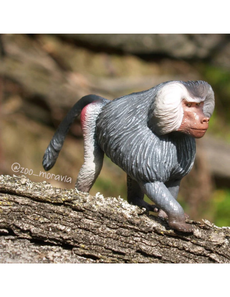 Babouin hamadryas Toymany – Figurine singe