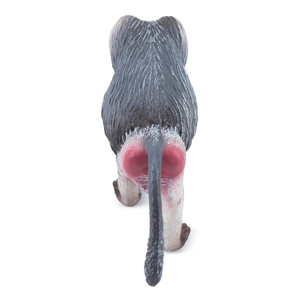 Babouin hamadryas Toymany – Figurine singe