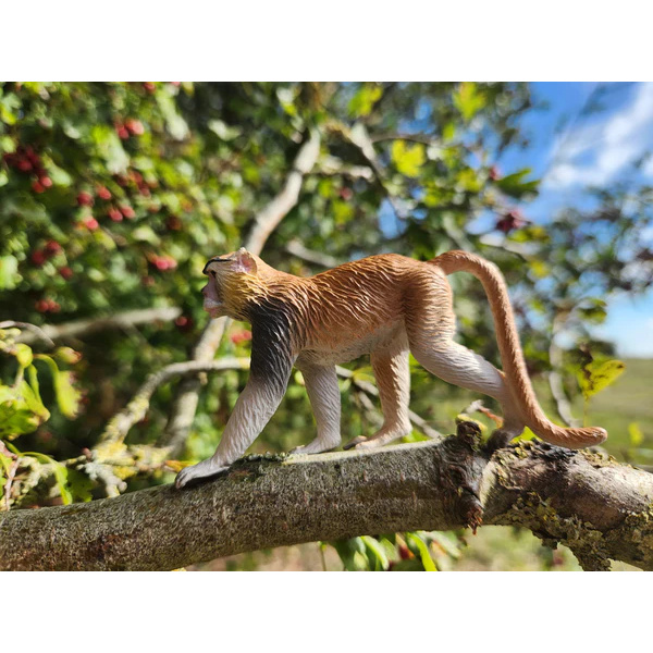 Singe patas Toymany – Figurine singe africain