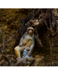 Macaque Toymany – Figurine singe d’Asie 2