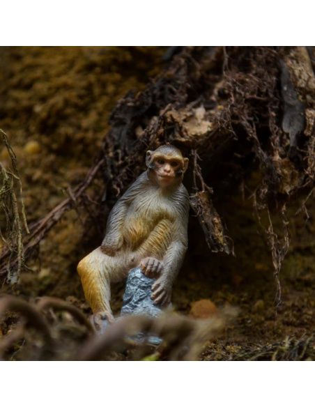Macaque Toymany – Figurine singe d’Asie