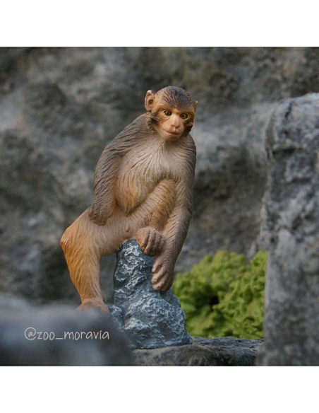 Macaque Toymany – Figurine singe d’Asie