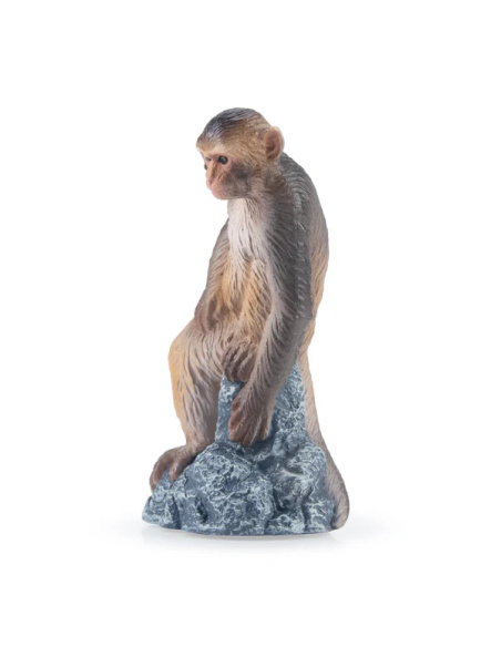 Macaque Toymany – Figurine singe d’Asie