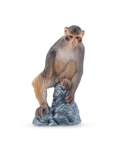 Macaque Toymany – Figurine singe d’Asie