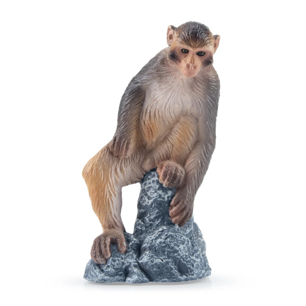 Macaque Toymany – Figurine singe d’Asie