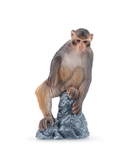 Macaque Toymany – Figurine singe d’Asie
