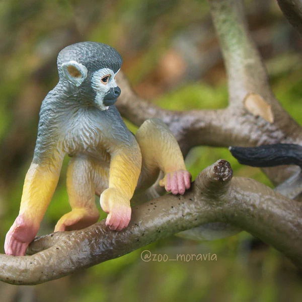 Saïmiri Toymany – Figurine singe d’Amérique