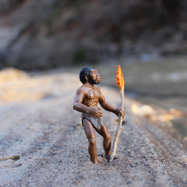 Évolution de l'homme - Lot de 5 figurines Safari 663816