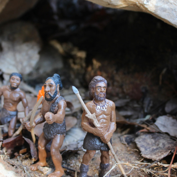 Évolution de l'homme - Lot de 5 figurines Safari 663816