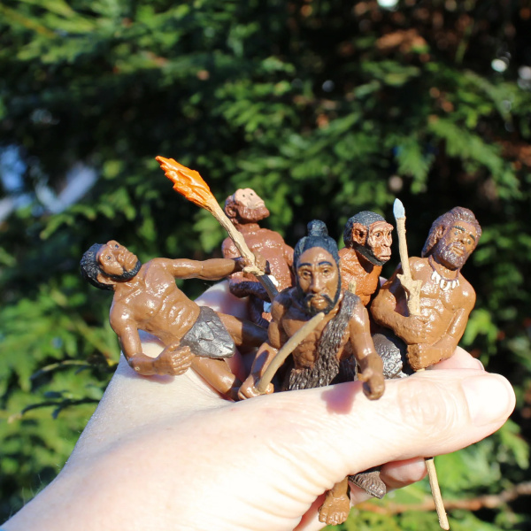 Évolution de l'homme - Lot de 5 figurines Safari 663816