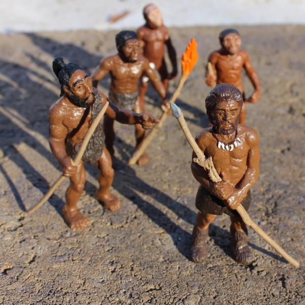 Évolution de l'homme - Lot de 5 figurines Safari 663816