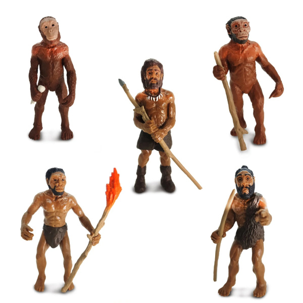 Évolution de l'homme - Lot de 5 figurines Safari 663816