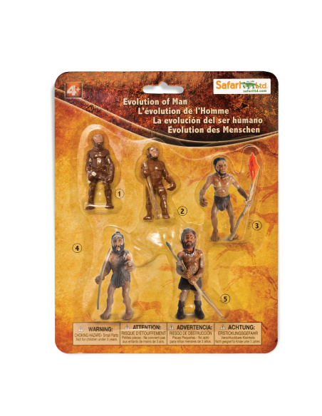 Évolution de l'homme - Lot de 5 figurines Safari 663816