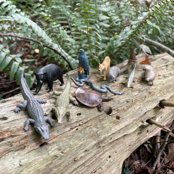 Tube Figurines Everglades Safari Ltd® | Animaux des Zones Humides