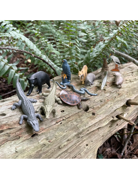 Tube Figurines Everglades Safari Ltd® | Animaux des Zones Humides