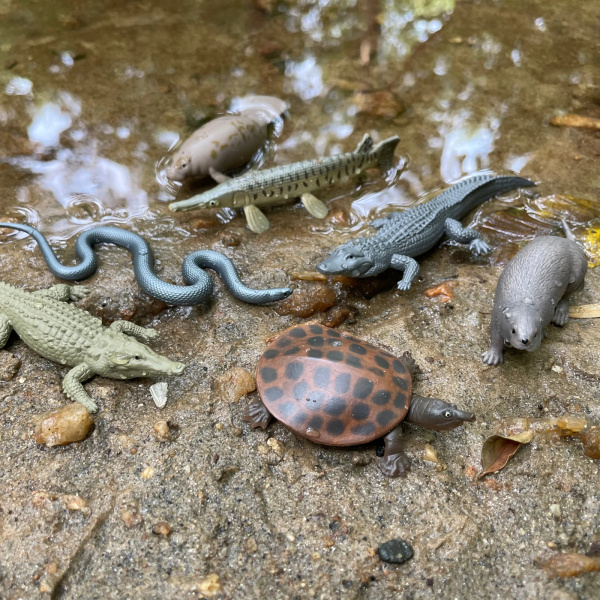 Tube Figurines Everglades Safari Ltd® | Animaux des Zones Humides