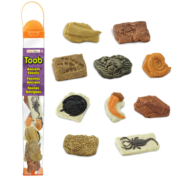 Figurines Lot de différents fossiles - Tube Safari Ltd® 684804 | Matériel pédagogique | Enrichissement Montessori | Jouet