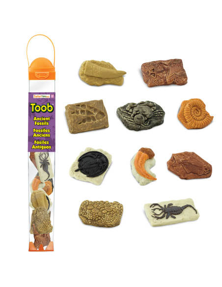 Figurines Lot de différents fossiles - Tube Safari Ltd® 684804 | Matériel pédagogique | Enrichissement Montessori | Jouet