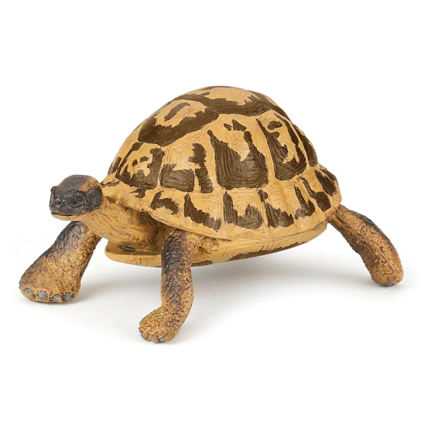 Figurine Tortue Hermann Papo - Chélonien Méditerranéen