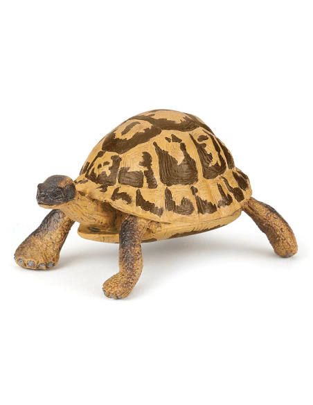Figurine Tortue Hermann Papo - Chélonien Méditerranéen
