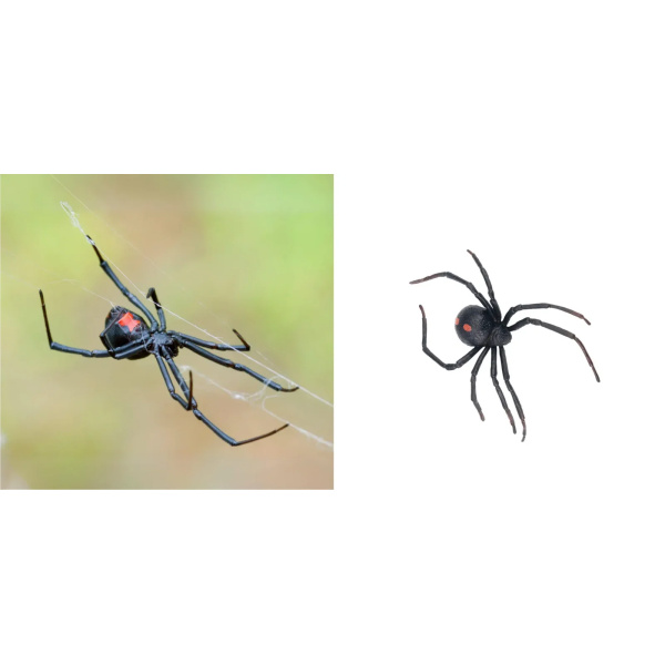 Figurine veuve noire Toymany - Araignée Latrodectus