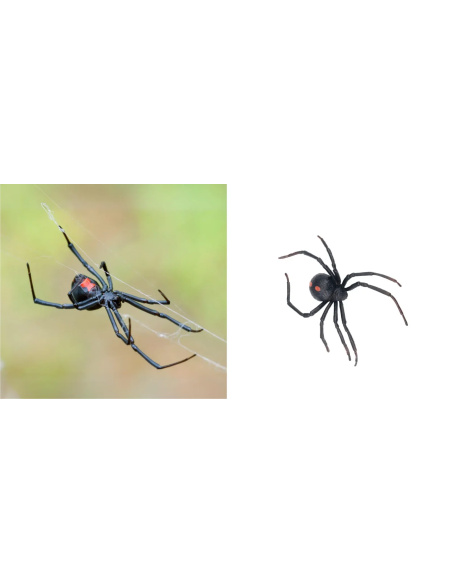 Figurine veuve noire Toymany - Araignée Latrodectus