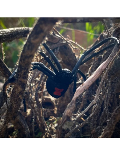 Figurine veuve noire Toymany - Araignée Latrodectus 2