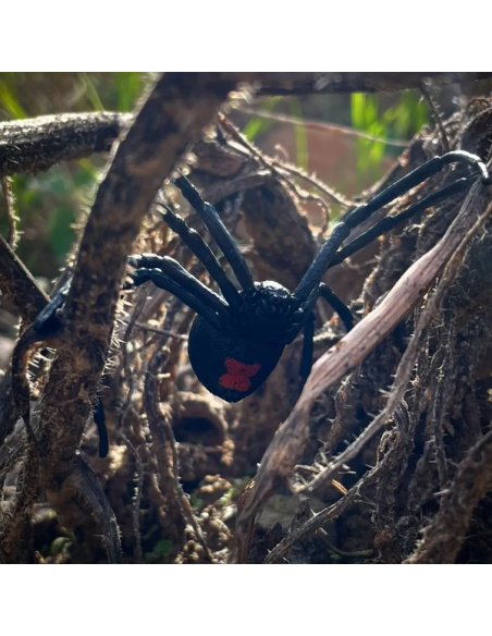 Figurine veuve noire Toymany - Araignée Latrodectus