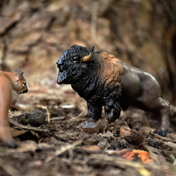Figurine bison d'Amérique Toymany Small - Jouet réaliste