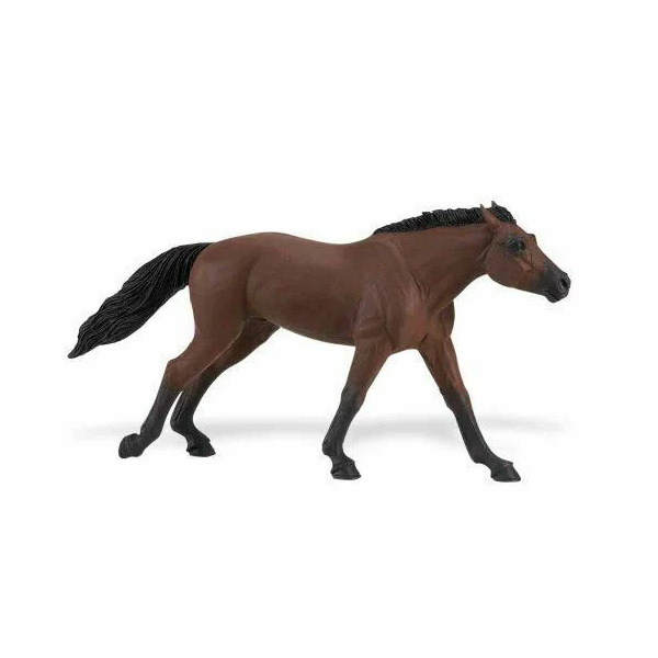 Étalon pur-sang anglais Safari 157705 - Cheval de course