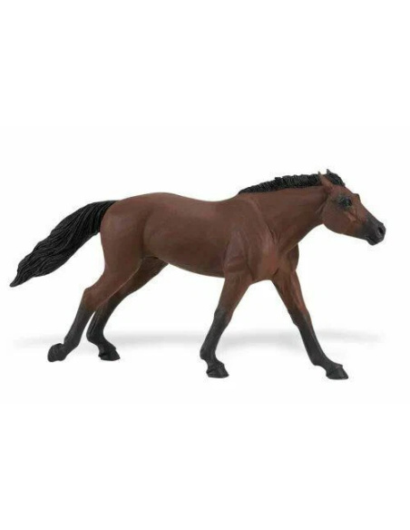 Étalon pur-sang anglais Safari 157705 - Cheval de course