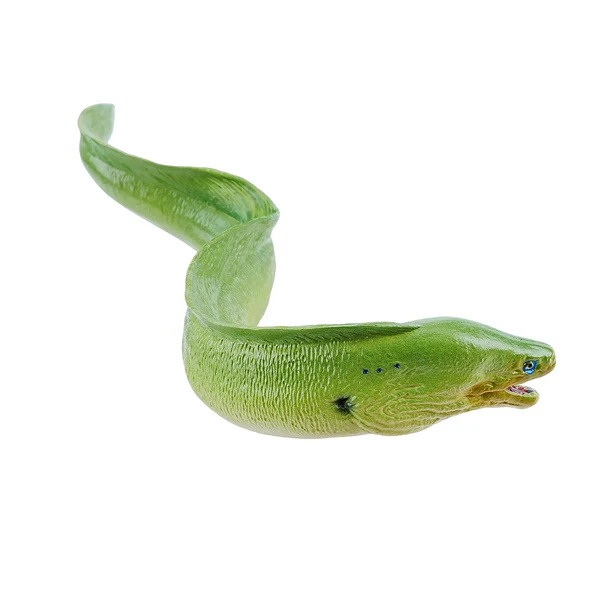 Figurine murène verte Toymany Small - Poisson récif