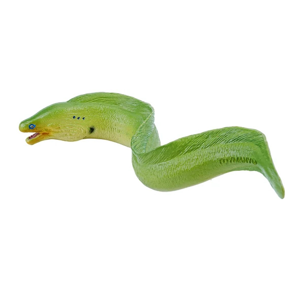 Figurine murène verte Toymany Small - Poisson récif