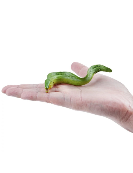 Figurine murène verte Toymany Small - Poisson récif