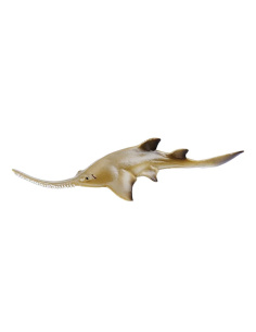 Bébé poisson-scie Toymany Small - Une raie, pas un requin 2