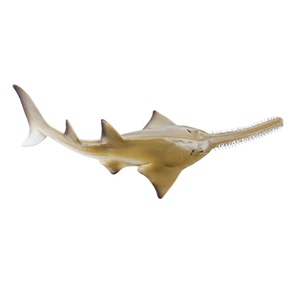 Bébé poisson-scie Toymany Small - Une raie, pas un requin