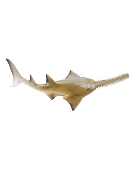Bébé poisson-scie Toymany Small - Une raie, pas un requin