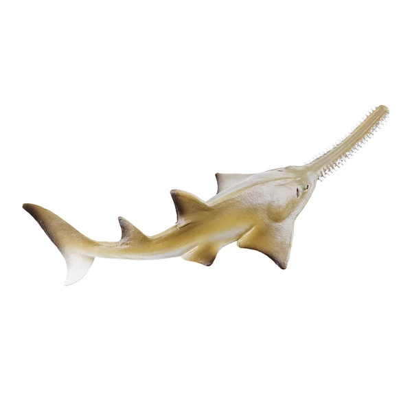 Bébé poisson-scie Toymany Small - Une raie, pas un requin
