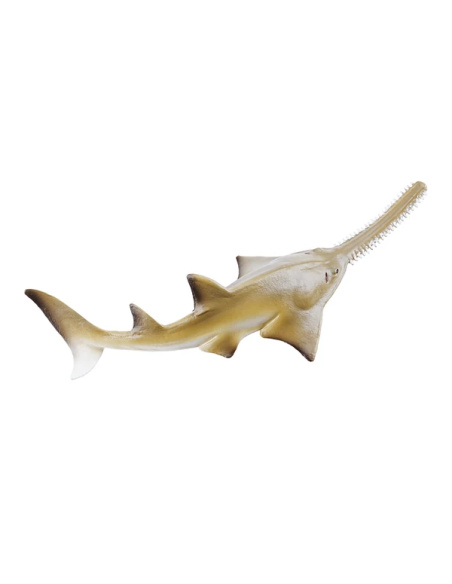 Bébé poisson-scie Toymany Small - Une raie, pas un requin