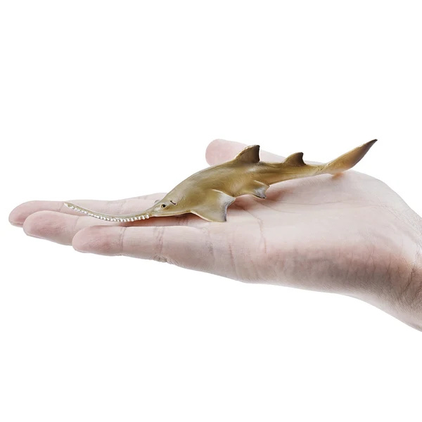 Bébé poisson-scie Toymany Small - Une raie, pas un requin