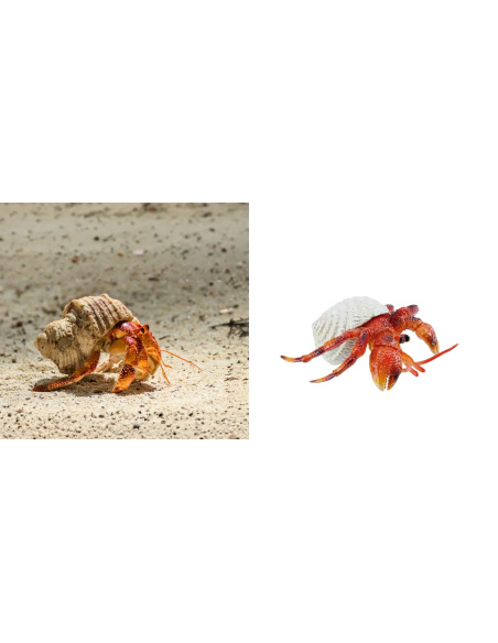 Bernard-l'ermite Toymany Small - Pas un vrai crabe