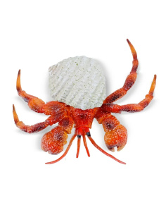 Bernard-l'ermite Toymany Small - Pas un vrai crabe 2