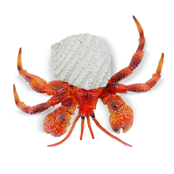 Bernard-l'ermite Toymany Small - Pas un vrai crabe
