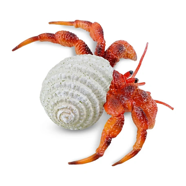 Bernard-l'ermite Toymany Small - Pas un vrai crabe